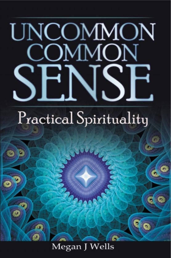 Cover of Uncommon Common Sense by Megan J. Wells