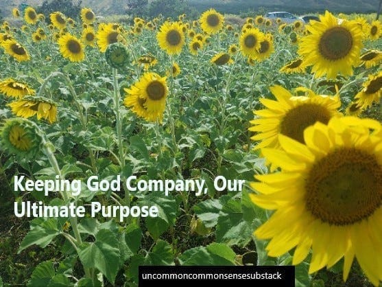 Keeping God Company